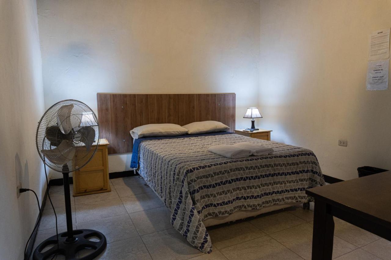 איקה Wild Olive Guest House מראה חיצוני תמונה