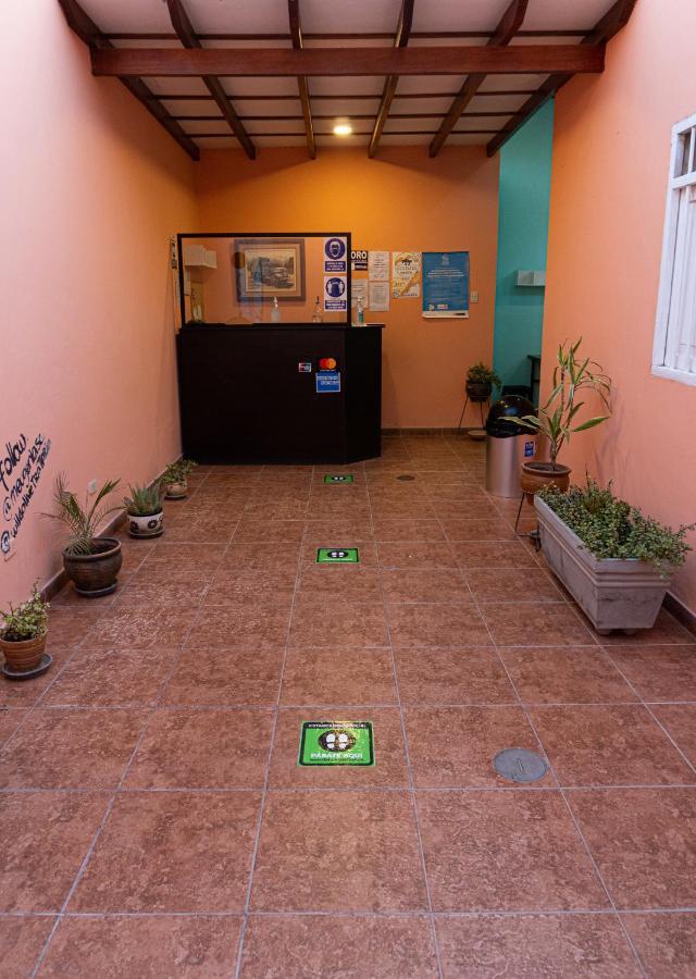 איקה Wild Olive Guest House מראה חיצוני תמונה