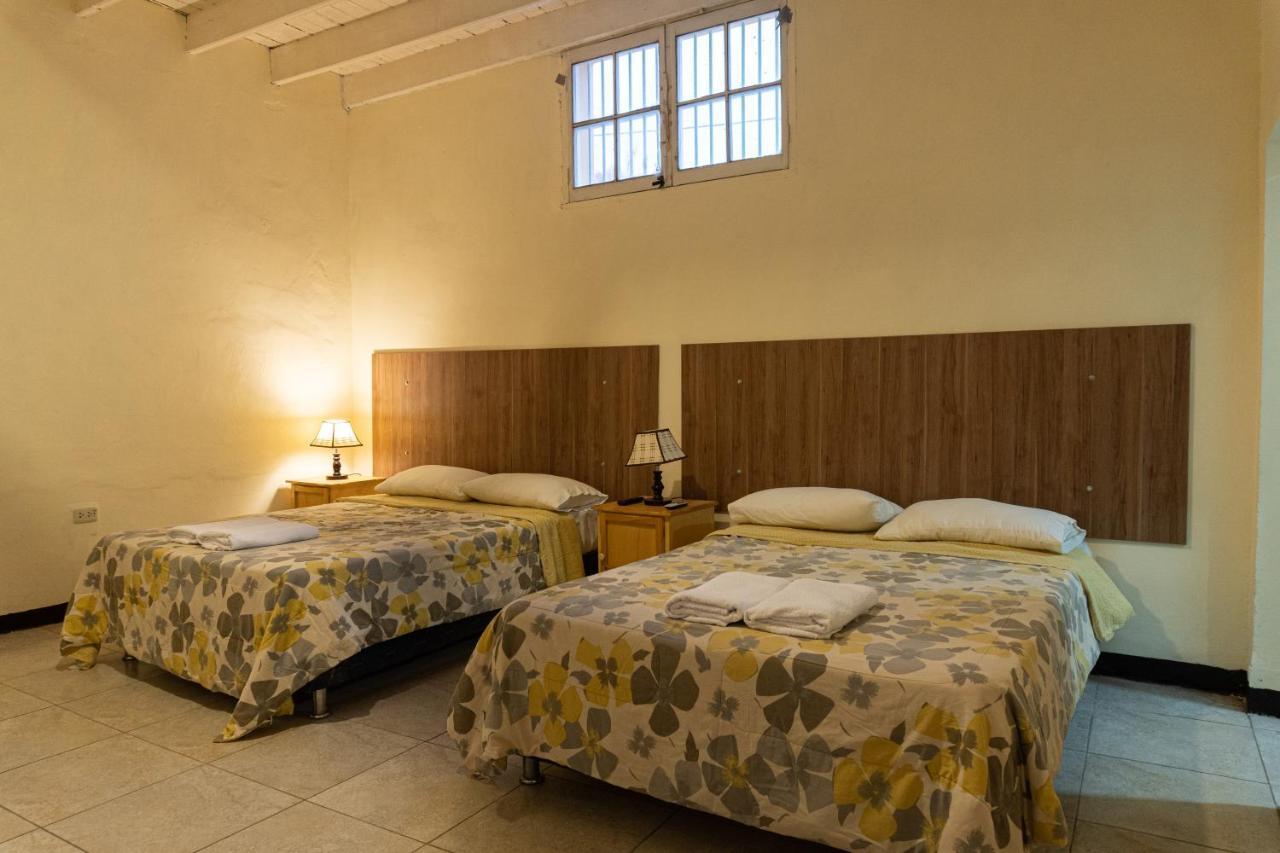 איקה Wild Olive Guest House מראה חיצוני תמונה