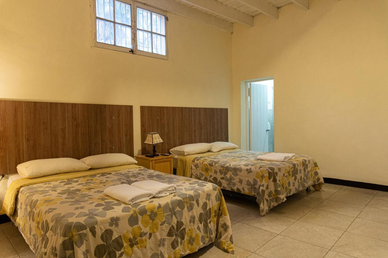איקה Wild Olive Guest House מראה חיצוני תמונה
