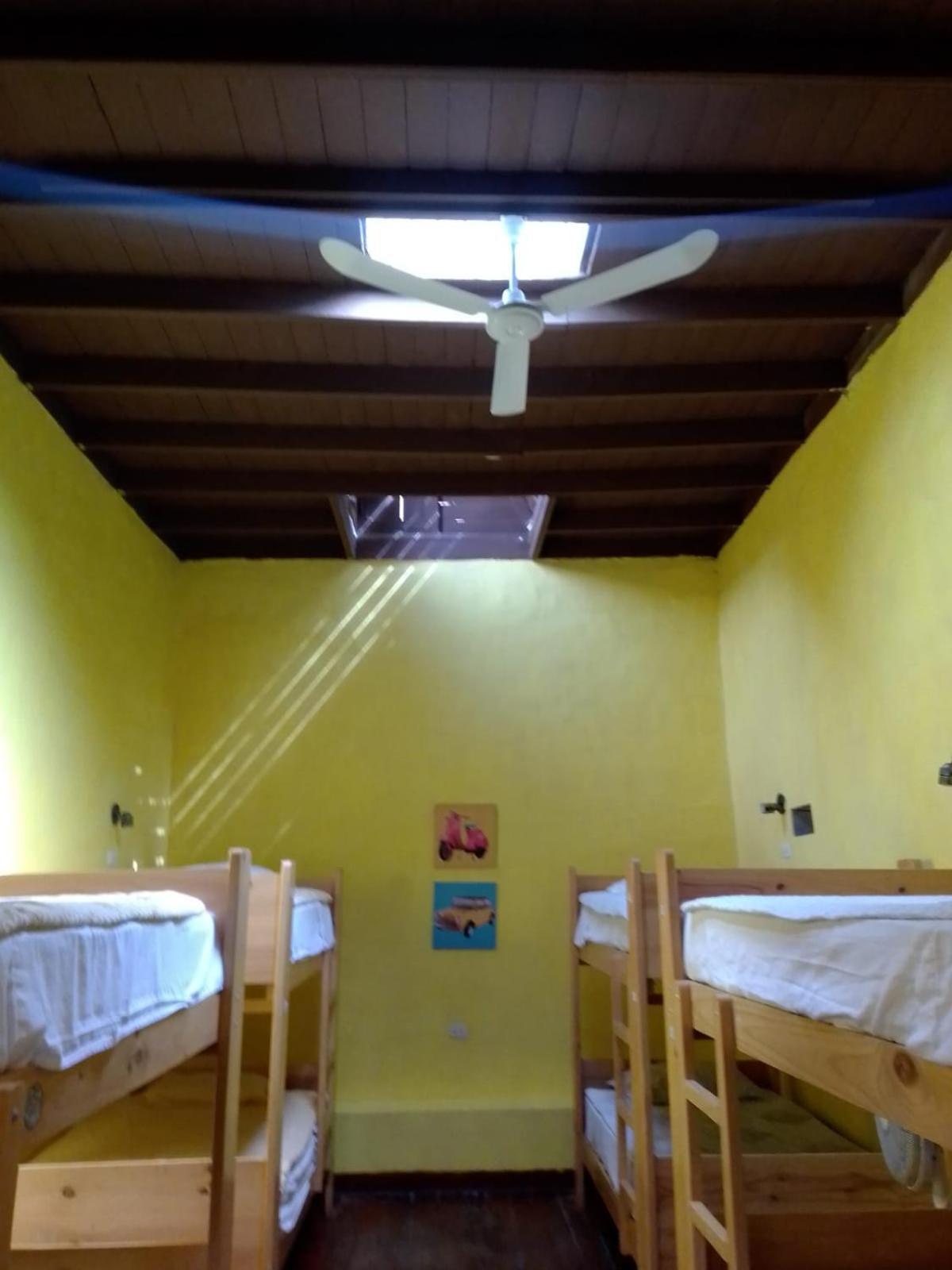 איקה Wild Olive Guest House מראה חיצוני תמונה