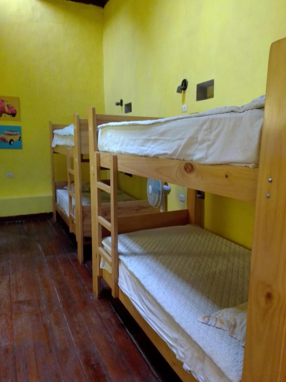 איקה Wild Olive Guest House מראה חיצוני תמונה