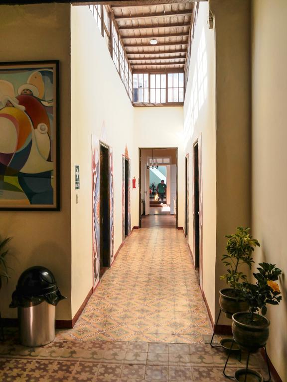 איקה Wild Olive Guest House מראה חיצוני תמונה
